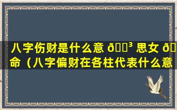 八字伤财是什么意 🐳 思女 🍁 命（八字偏财在各柱代表什么意思）